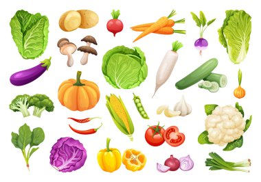 Collection of fresh vegetables in cartoon style clipart