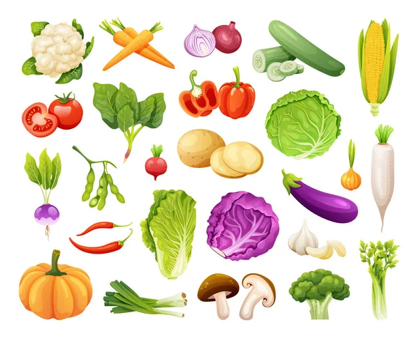 Conjunto Verduras Orgánicas Vector Ilustración — Vector de stock