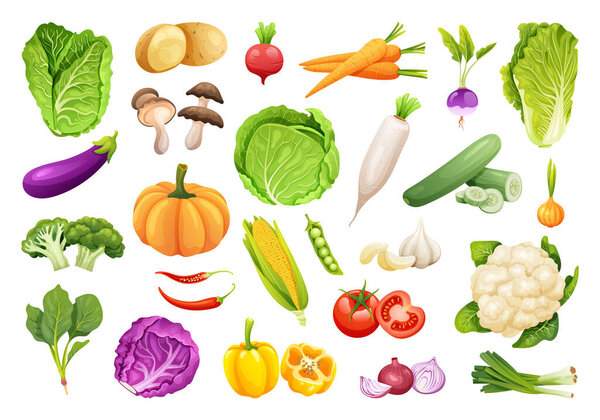 Collection of fresh vegetables in cartoon style