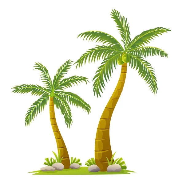 Tropické Kokosové Stromy Ilustrace Kresleném Stylu — Stockový vektor