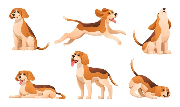 Set Van Beagle Hond Verschillende Poses Cartoon — Stockvector