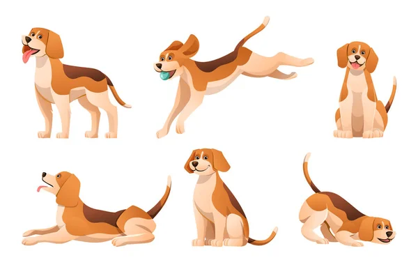 Set Cartoon Beagle Dog Various Poses — Stock Vector