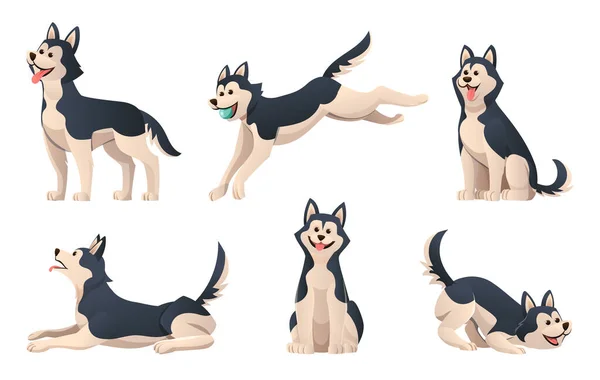 Set Kartun Anjing Serak Dalam Berbagai Pose - Stok Vektor