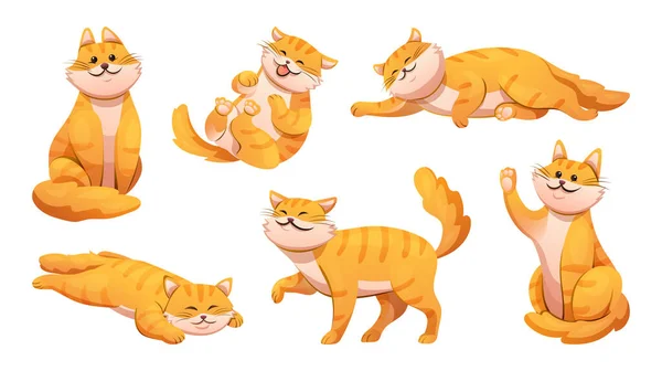 Farklı Pozlardaki Sevimli Kedi Seti Çizgi Film Çizimleri Gibi — Stok Vektör