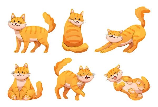 Cute Pomarańczowy Paski Kot Różnych Pozach Ilustracji Kreskówki — Wektor stockowy