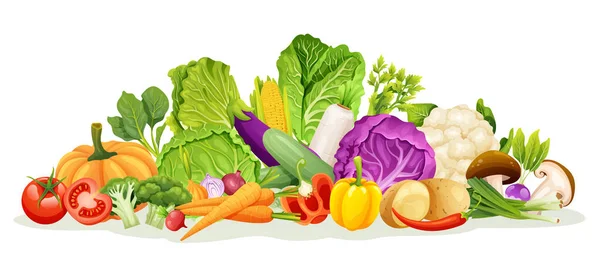 Set Various Kinds Vegetable Illustrations — Stock Vector