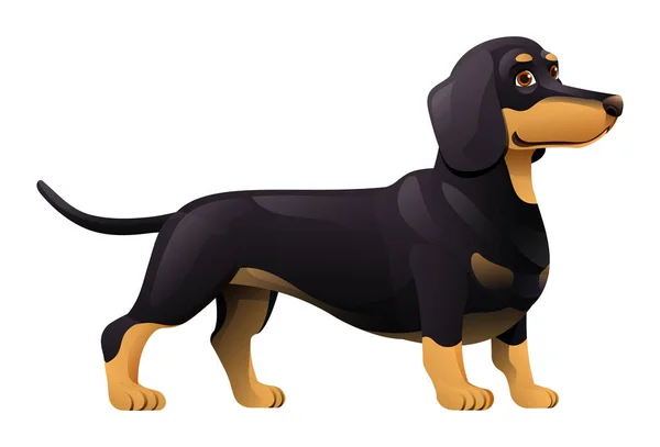 Dachshund Σκυλί Διάνυσμα Εικονογράφηση Κινουμένων Σχεδίων — Διανυσματικό Αρχείο