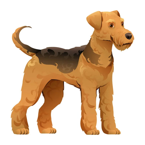 Airedale Terrier Cane Vettore Cartone Animato Illustrazione — Vettoriale Stock