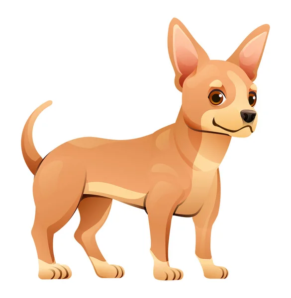Chihuahua Cão Vetor Desenho Animado Ilustração — Vetor de Stock