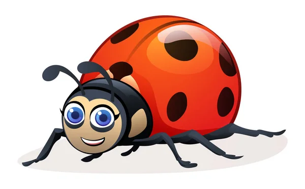 Roztomilý Ladybug Kreslené Ilustrace Izolované Bílém Pozadí — Stockový vektor
