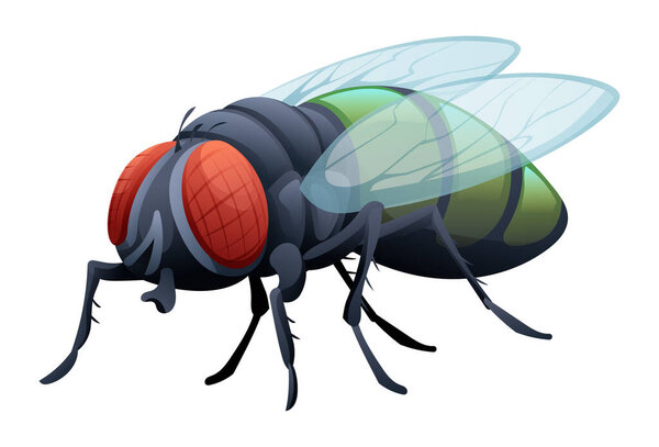 Cute fly cartoon illustration isolated on white background
