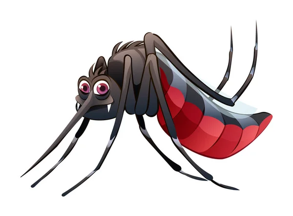 Mosquito Kreslené Ilustrace Izolované Bílém Pozadí — Stockový vektor