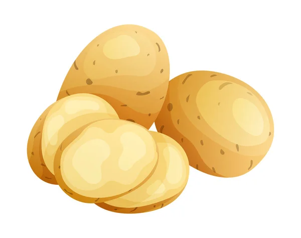 Set Kartoffeln Ganze Halbe Und Geschnittene Scheibe Illustration Isoliert Auf — Stockvektor