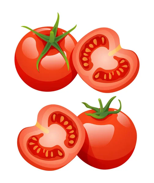 一组在白色背景上孤立的西红柿插图 — 图库矢量图片