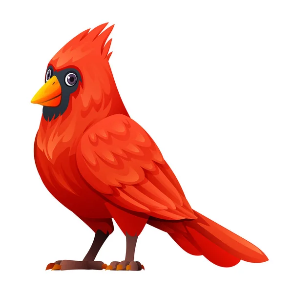 Cute Cardinal Bird Cartoon Illustration Isolated White Background — Stock Vector