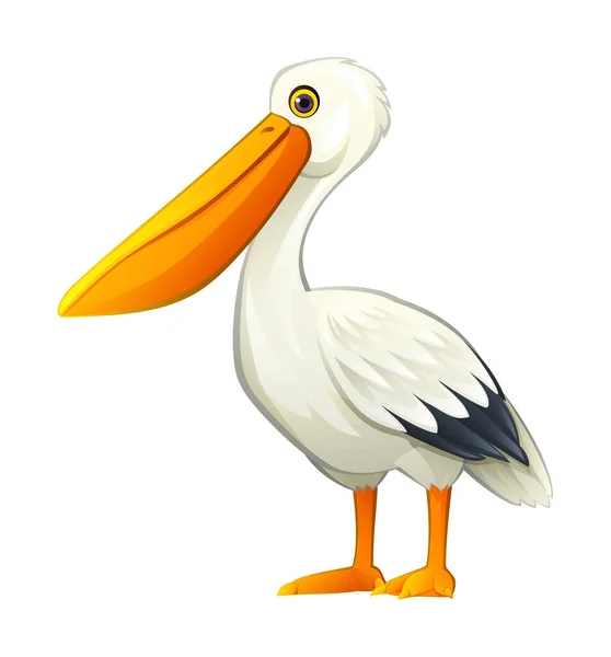 Cute Pelican Cartoon Illustration Isolated White Background — Stock Vector