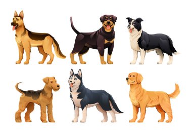 Çizgi film tarzında farklı köpek türleri. Alman çoban köpeği, Rottweiler, Border Collie, Airedale Terrier, Sibirya Husky, Golden Retriever vektör çizimi