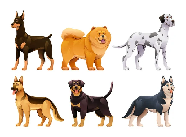 Набор Различных Пород Собак Мультяшном Стиле Доберман Чау Чау Грейт — стоковый вектор