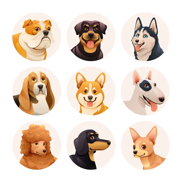 Conjunto Diferentes Razas Perros Ilustración Personajes Avatar Perro — Archivo Imágenes Vectoriales