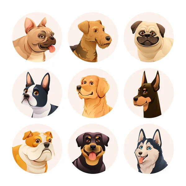 Dog Avatar Character Set Collection Different Dog Breeds Vector Illustration — Stock Vector