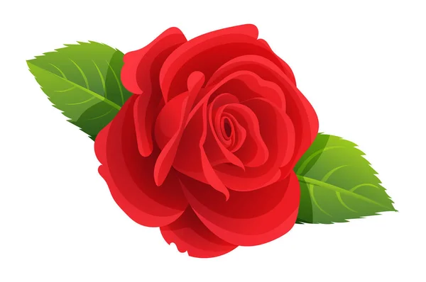 Hermosa Ilustración Vectorial Rosa Roja Aislada Sobre Fondo Blanco — Vector de stock