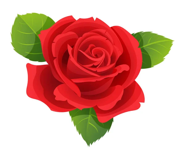 Ilustración Vectorial Rosa Roja Aislada Blanco — Vector de stock