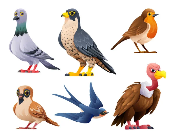 Collection Oiseaux Vecteur Dessin Animé Illustration — Image vectorielle