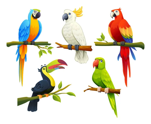 Ensemble Oiseaux Tropicaux Vecteur Dessin Animé Illustration — Image vectorielle