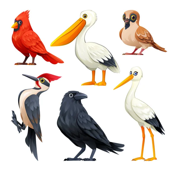 Ensemble Oiseaux Vecteur Dessin Animé Illustration — Image vectorielle