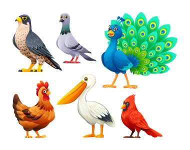 Kuş vektör karikatür çizimleri. Şahin, güvercin, tavus kuşu, tavuk, pelikan ve kardinal