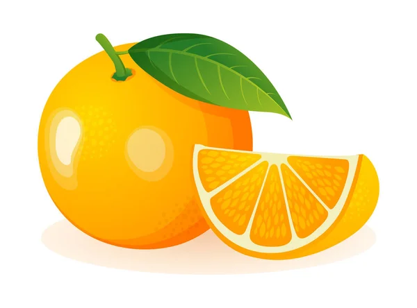Fresh Orange Fruit Whole Sliced Vector Illustration Isolated White Background — Stock Vector