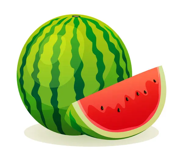 stock vector Fresh watermelon whole and sliced. Vector illustration isolated on white background