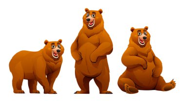 Beyaz arkaplanda izole edilmiş ayı çizgi film karakterleri seti