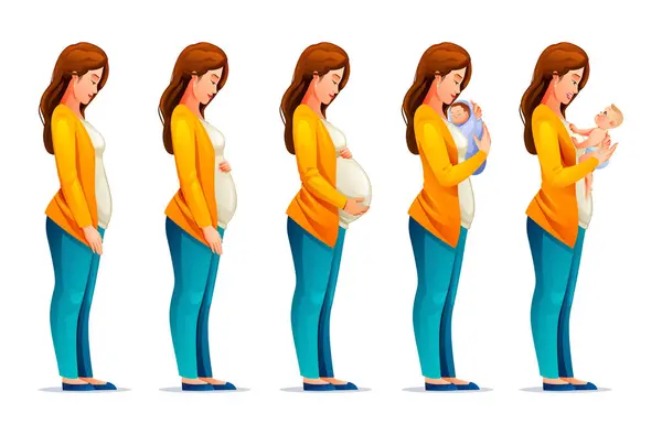 Pregnancy Stages Pregnant Woman Newborn Baby Changes Woman Body Pregnancy — Stock Vector