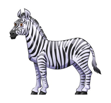 Zebra karikatür vektör çizimi beyaz arkaplanda izole edildi