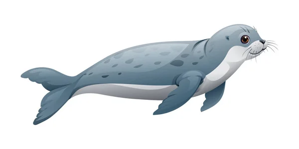 Cartoon Seal Schwimmen Illustration Isoliert Auf Weißem Hintergrund — Stockvektor