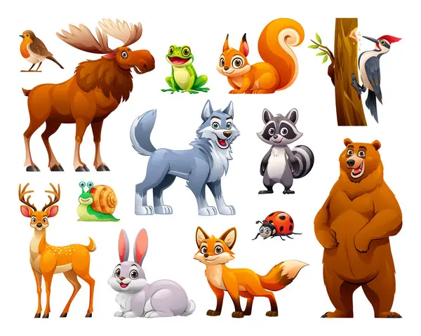 Colección Animales Forestales Dibujos Animados Vectoriales Ilustración — Vector de stock