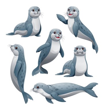 Çeşitli pozlarda bir set mühür. Vektör çizgi film illüstrasyonu