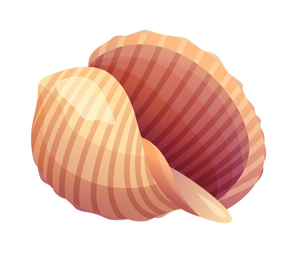 Wavy striped seashell vector cartoon illustration isolated on white background
