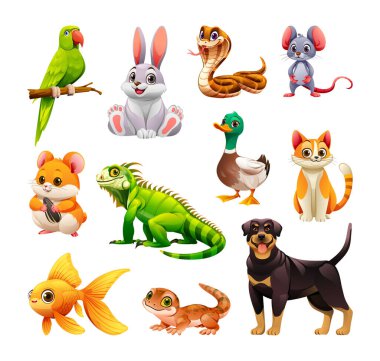Bir grup evcil hayvan, papağan, tavşan ve köpek de dahil. Vektör çizgi film illüstrasyonu
