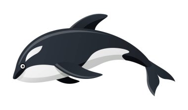 Katil balina karikatür vektör çizimi beyaz arkaplanda izole