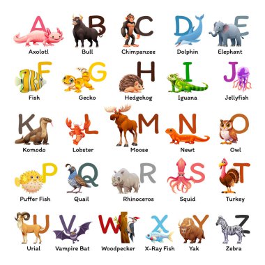 Çocuk eğitimi için hayvan alfabesi. Her harf için axolotl, gecko ve baykuş gibi hayvanların olduğu ABC posteri. Vektör çizgi film illüstrasyonu