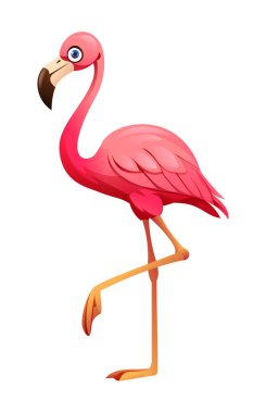 Flamingo karikatür vektör çizimi beyaz arkaplanda izole edildi