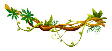 Doğal liana dallarının etrafına çeşitli yapraklar sarılmış orman sarmaşığı bitkileri. Vektör çizgi film illüstrasyonu