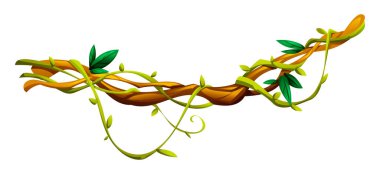 Liana dallarına yapraklar sarılmış orman sarmaşıkları. Vektör çizgi film illüstrasyonu