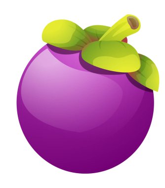 Taze mangosteen vektör karikatür çizimi