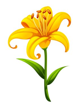 Yaprakları ve yaprakları pürüzsüz sarı zambak çiçeği. Zarif çiçek tasarımları için mükemmel. Vektör çizgi film illüstrasyonu