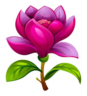 Yumuşak yaprakları ve yaprakları olan mor manolya çiçeği narin bir çiçek sergiliyor. Vektör çizgi film illüstrasyonu