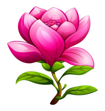 Yumuşak yaprakları ve yaprakları olan pembe manolya çiçeği narin bir çiçek sergiliyor. Vektör çizgi film illüstrasyonu