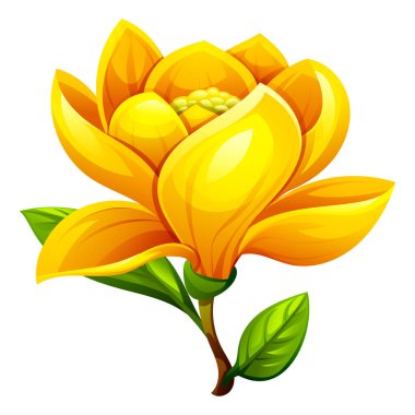 Yumuşak yaprakları ve yaprakları olan sarı manolya çiçeği narin bir çiçek sergiliyor. Vektör çizgi film illüstrasyonu